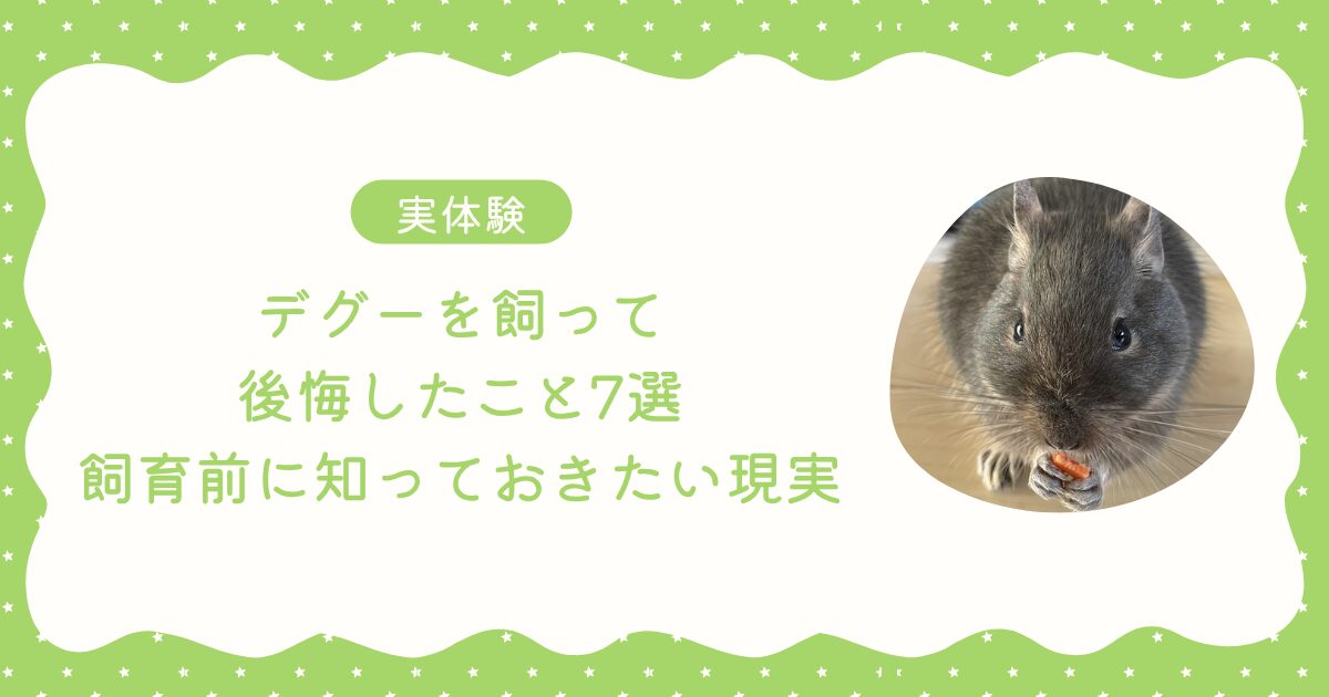 【実体験】デグーを飼って後悔したこと7選｜飼育前に知っておきたい現実