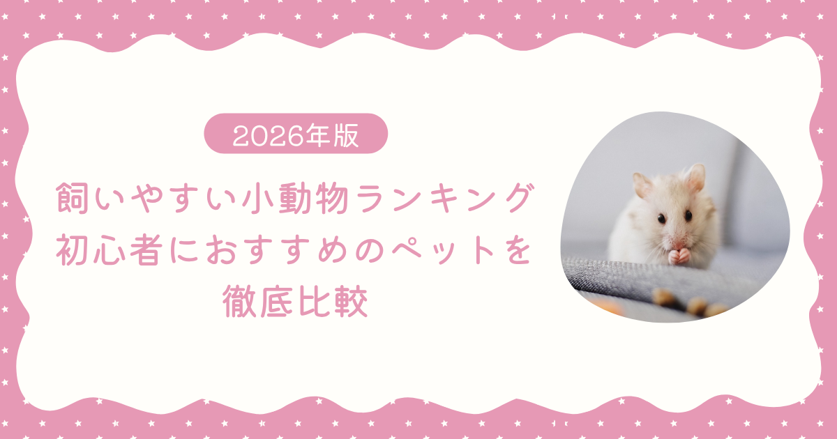 【2026年版】飼いやすい小動物ランキング｜初心者におすすめのペットを徹底比較